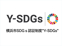 Y-SDGs